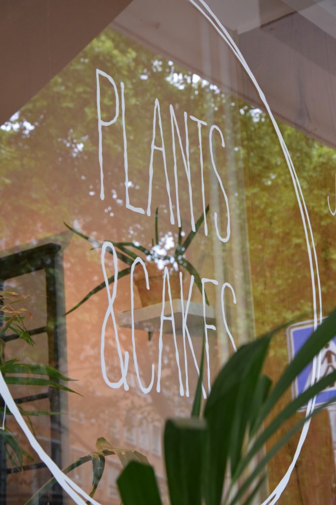Plants & Cakes